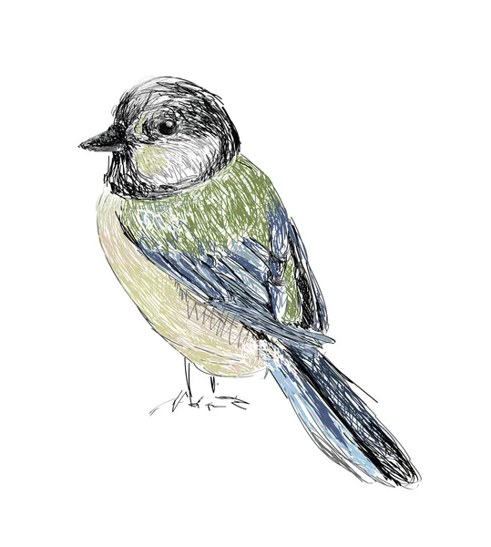 Ptačí ručně kreslenou — Stockový vektor