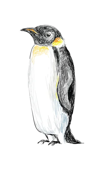 Pinguïn hand getrokken — Stockvector