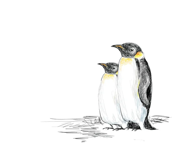 Pingüinos dibujados a mano — Vector de stock