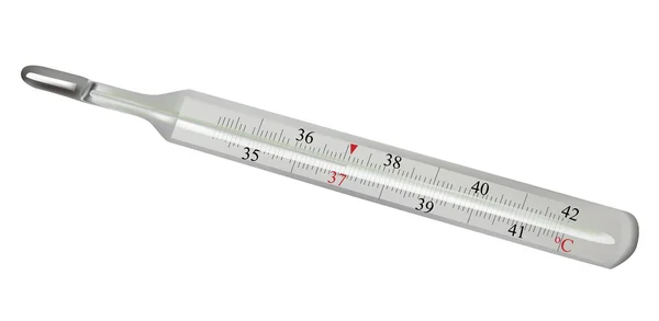 Thermometer isoliert — Stockvektor
