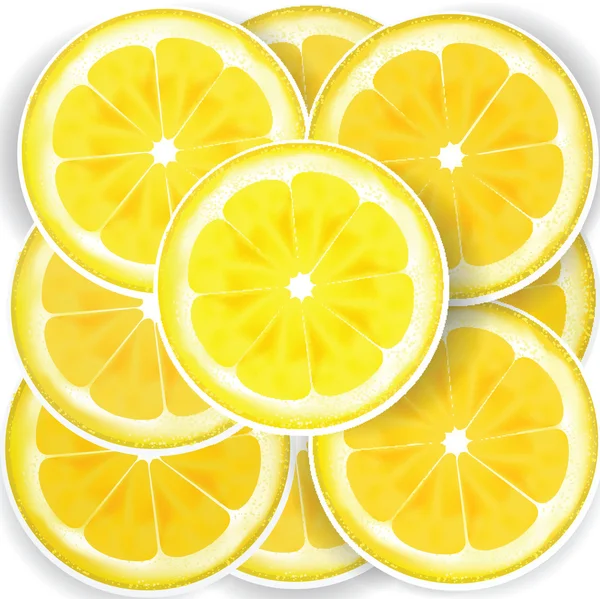 Plátky citronu — Stockový vektor