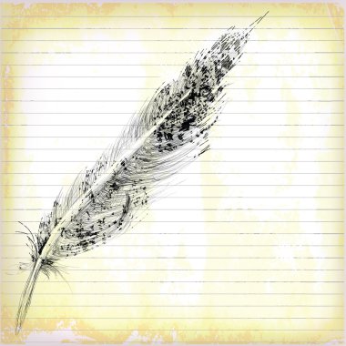 Feather Hand Drawn on old paper clipart