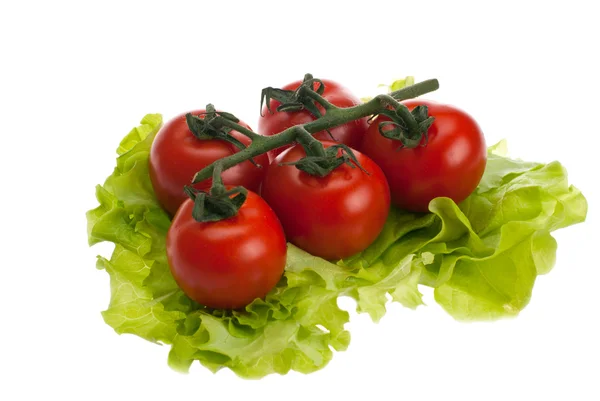 Tomates, alface — Fotografia de Stock