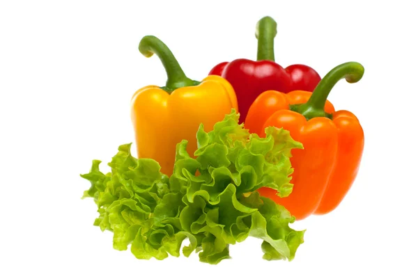 Peppers and lettuce — Stock Photo, Image