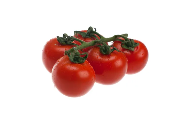 Verse tomaten. — Stockfoto