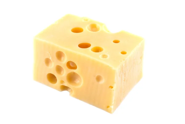 stock image Dutch cheese