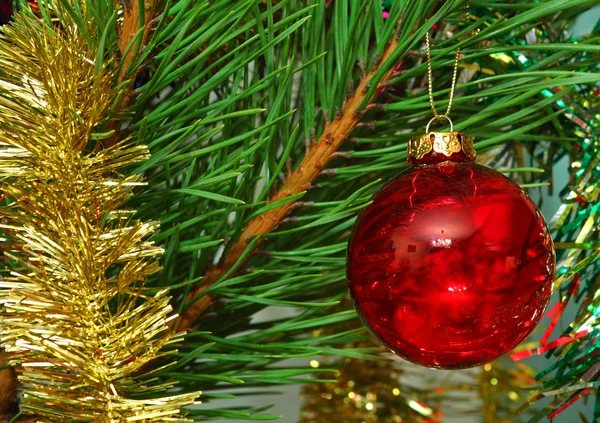 Red glass ball on the Cristmas tree — Stock Photo, Image