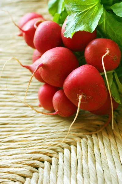 Red Radishes — Stock Photo, Image