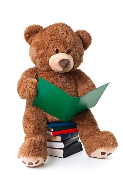 Reading bear with clipping path — Stock Photo, Image