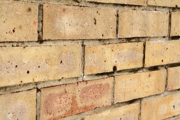 stock image Brick background