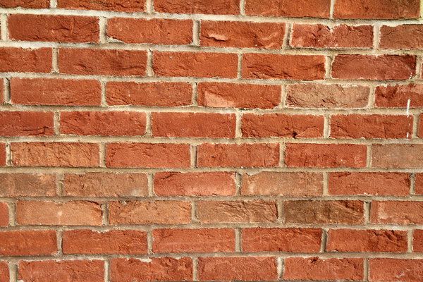 Brick wall in a close up