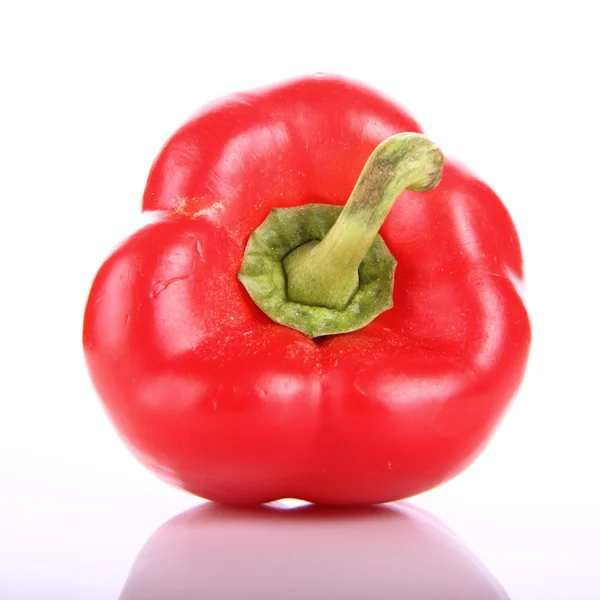 Paprika zeleninová — Stock fotografie