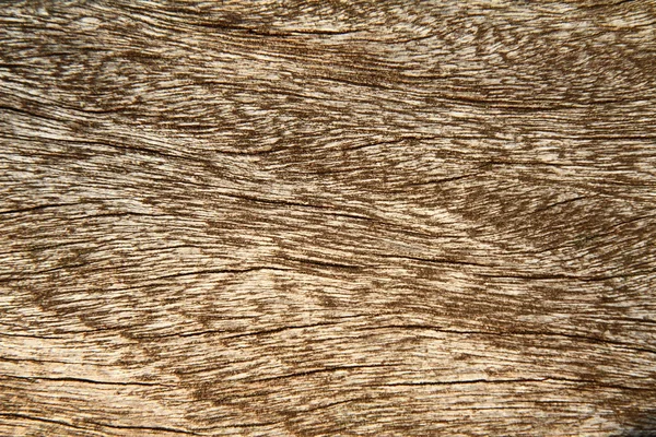 Dřevo se v úzké — Stock fotografie