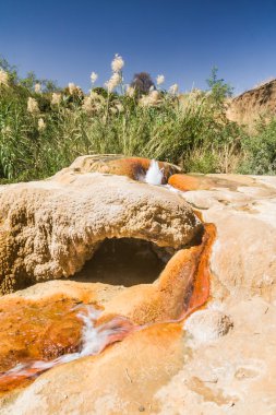 ampefy geysers