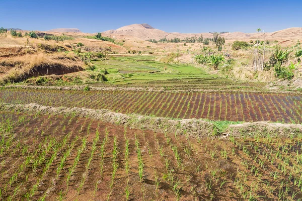 Paisaje típico —  Fotos de Stock