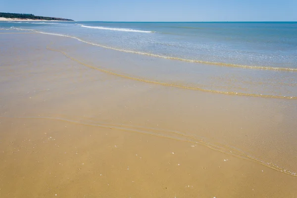 Banco di sabbia con bassa marea — Foto Stock