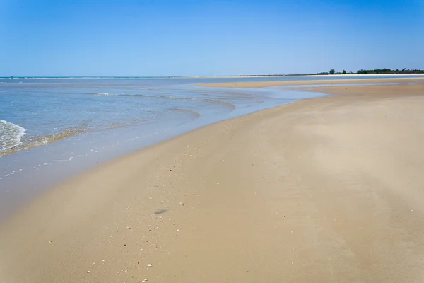 Banco di sabbia con bassa marea — Foto Stock