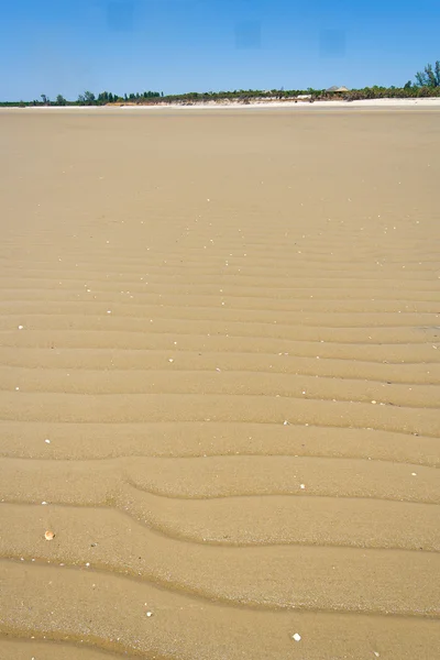 Banc de sable à marée basse — Photo