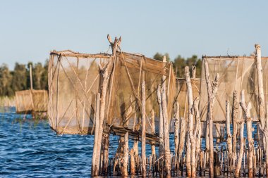 Kanal des pangalanes