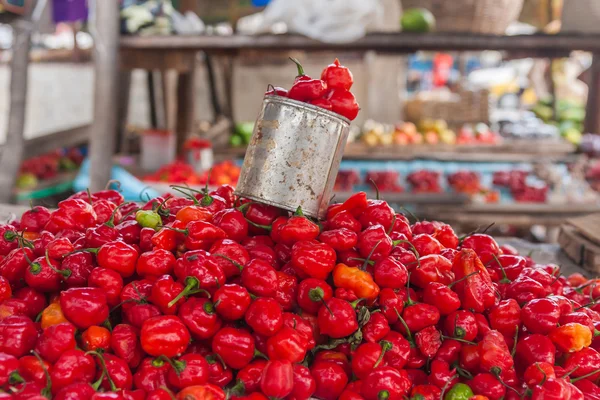 Zobrazení chilli papriček — Stock fotografie