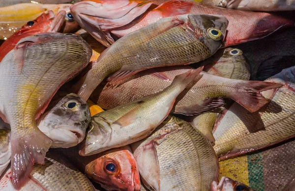 stock image Heap of fish