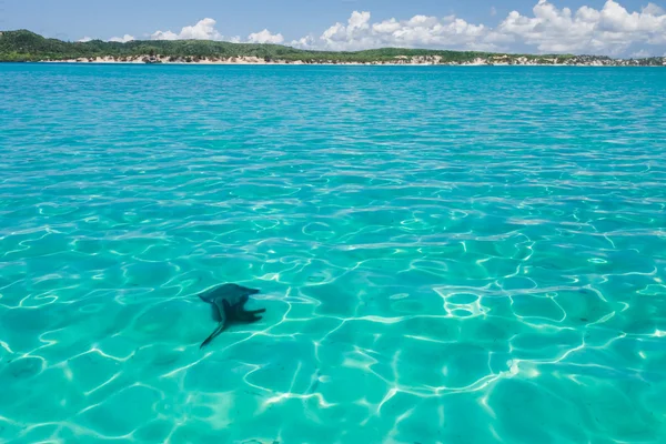 stock image The emerald sea