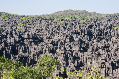 ankarana tsingy