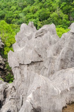 ankarana tsingy