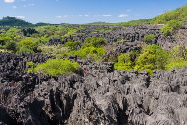 ankarana tsingy