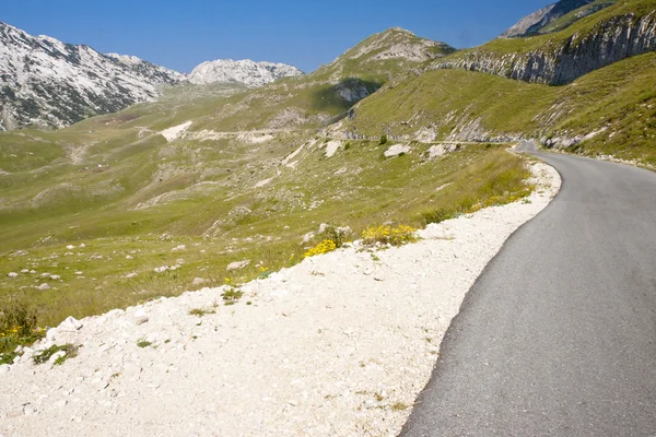 Asphalt mounatin route - montenegro — Stock Photo, Image