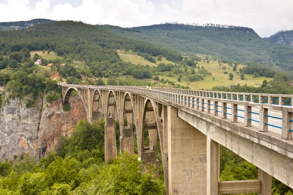 Starý most - durdevica, Černá Hora. — Stock fotografie