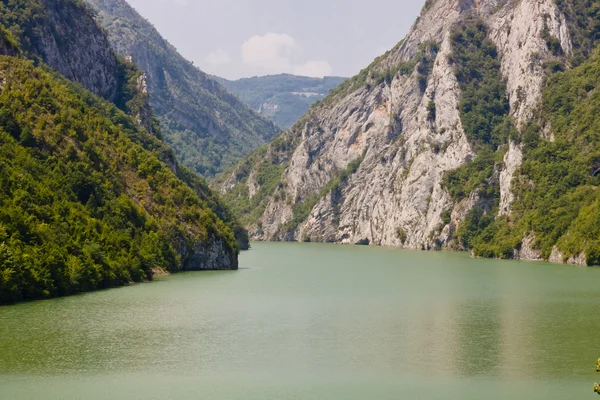 Ποταμό Ντρίνα - Βοσνία-Ερζεγοβίνη — Φωτογραφία Αρχείου
