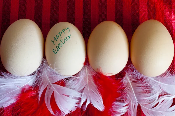 Group of eggs for happy easter — Stock Photo, Image