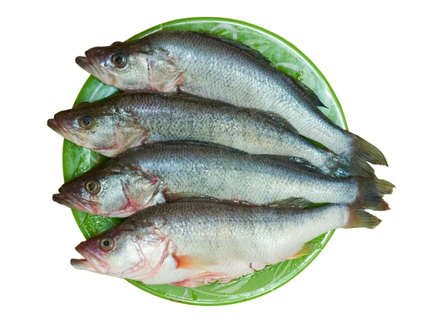 Il pesce fresco è persico su un piatto — Foto Stock