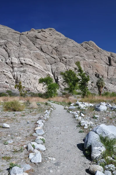 Desert Pathway — Stock Photo, Image