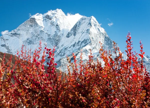 stock image Ama Dablam