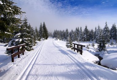 Wintry landscape scenery with modified cross country skiing way clipart