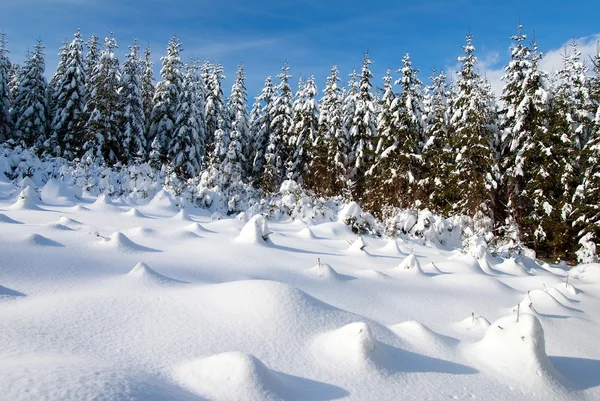 Wintry scenery with snowy glade and forest — Stock Photo, Image