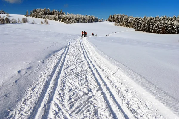 Winterliche Landschaft mit modifizierter Langlaufloipe — Stockfoto