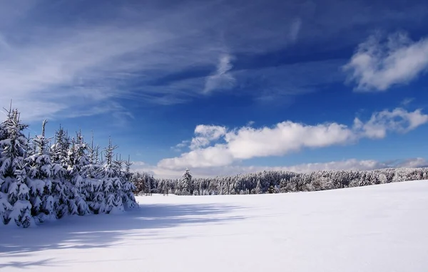 Paisaje invernal — Foto de Stock