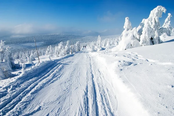 Bewerkt langlauf skiën manier — Stockfoto