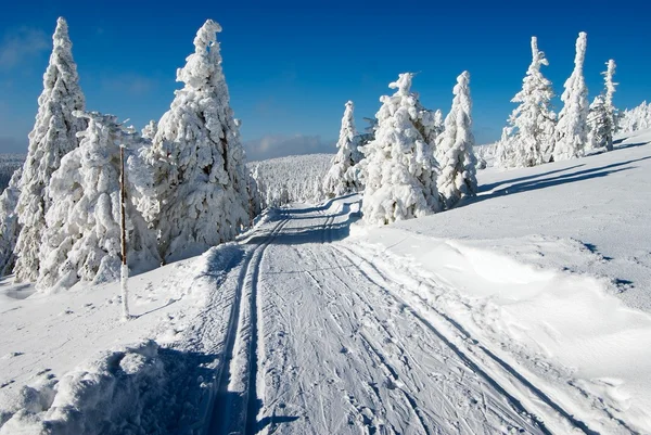 Modified cross country skiing way — Stock Photo, Image