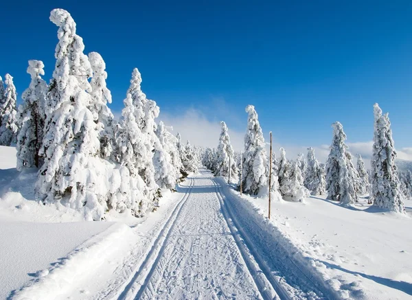 Modified cross country skiing way — Stock Photo, Image