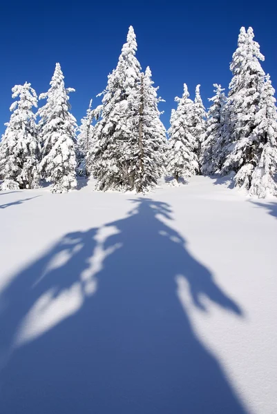 Paisaje invernal — Foto de Stock