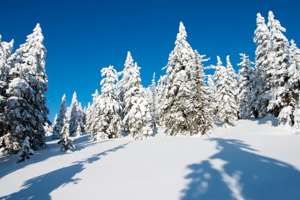 Winterse landschap landschap — Stockfoto