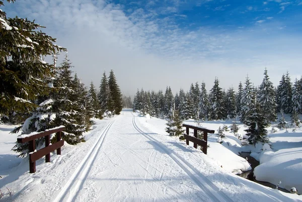 Wintry krajobraz krajobraz ze zmodyfikowaną drogą narciarstwa biegowego — Zdjęcie stockowe