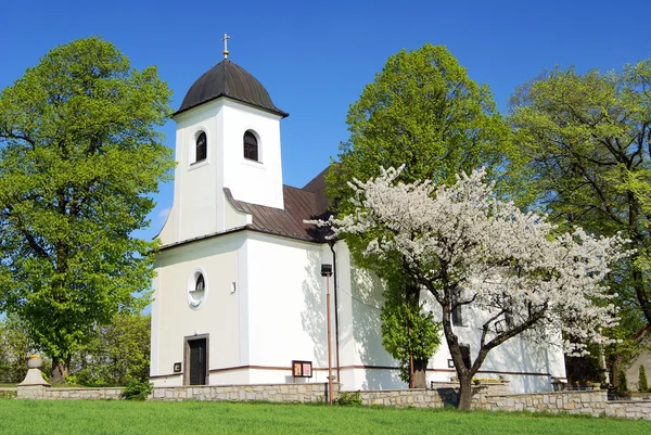 Kościół w ruda wieś Czech i Moraw Wyżyna Czeska Republika — Zdjęcie stockowe