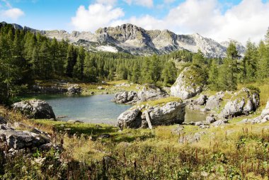 View from julian alps - triglav national park slovenia europe clipart