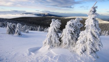 View from jesenik to kralicky sneznik moravia - czech republic clipart