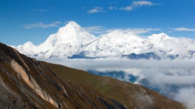 Dhaulagiri from thorung la pass clipart